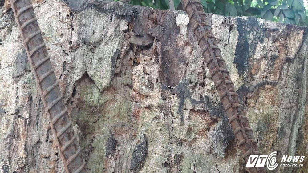 17797888_1300200206753803_684547347_o