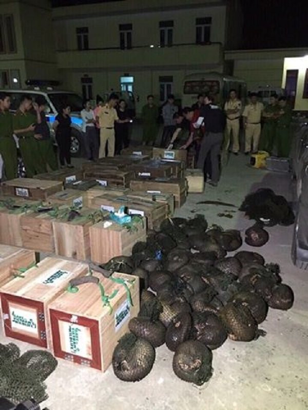 17800167_1941786126056829_1115924863433497586_n