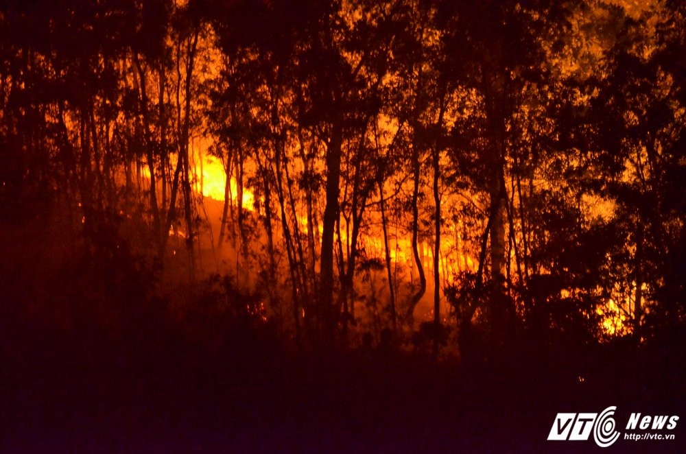 cháy rừng