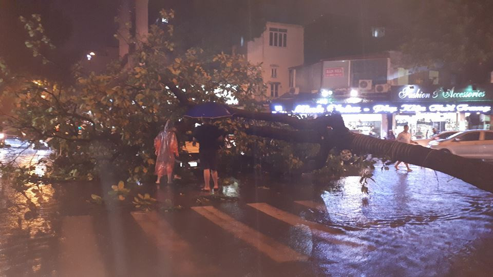 19225064_10209265073131829_8710111208456501240_n 10