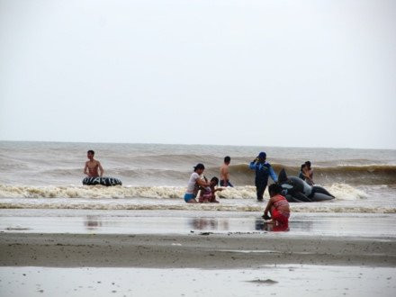 Thanh Hóa: Du khách vẫn thản nhiên tắm biển dù bão cận kề ảnh 5