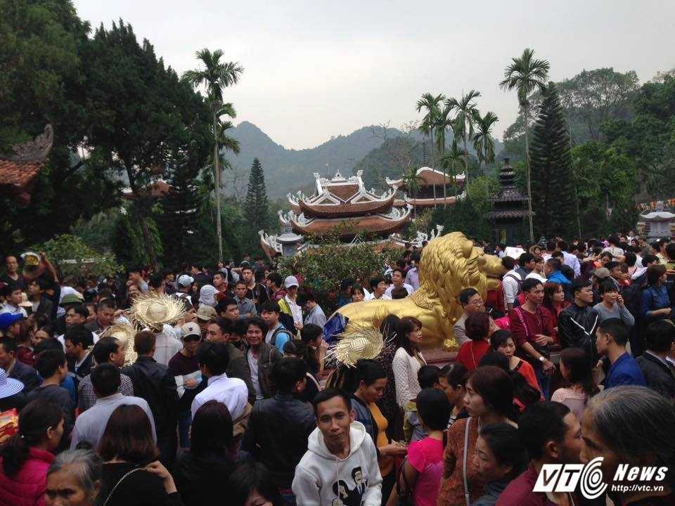 16473257_902704786539345_