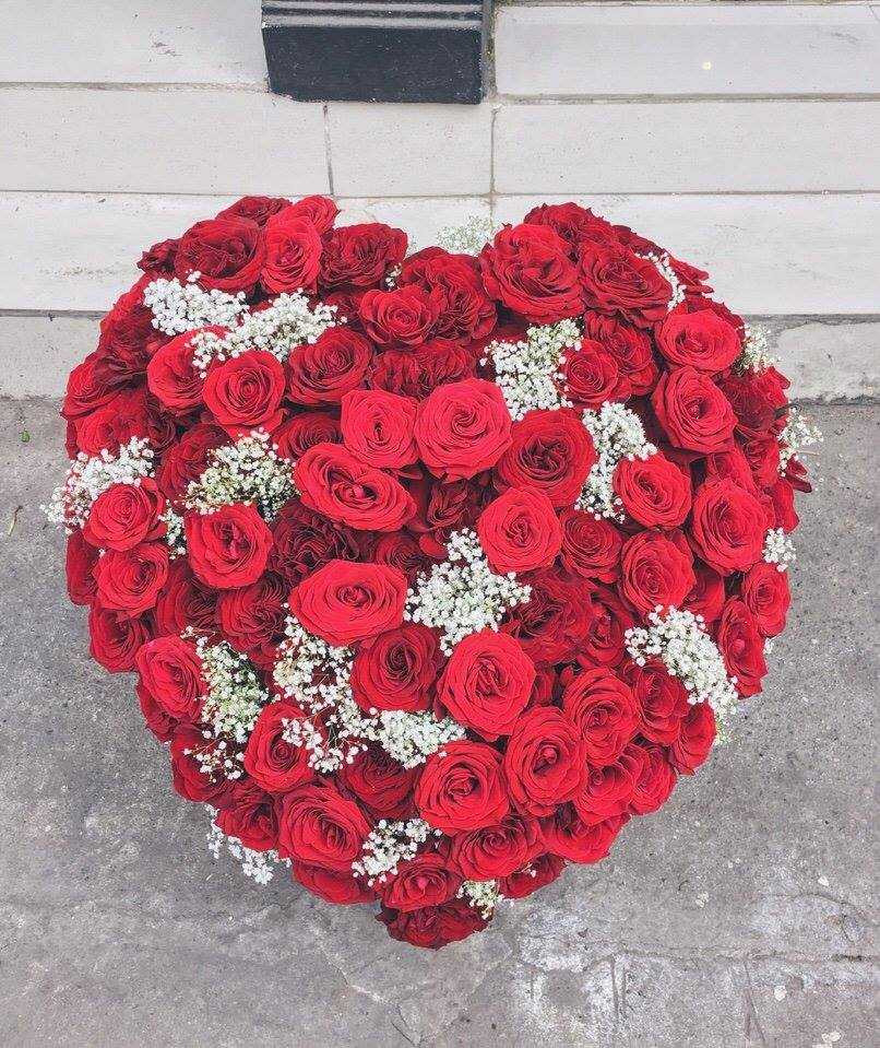 16736198_1298726560173308