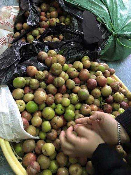 12743708_1020575141338006