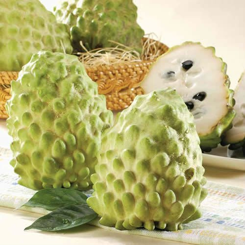 Fresh-Atemoya-Custard-Apple-from-Taiwan