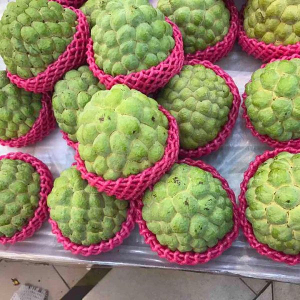 z579060945099_4e4930a63ebeae9bf9a36e4f81b8652e-600x600