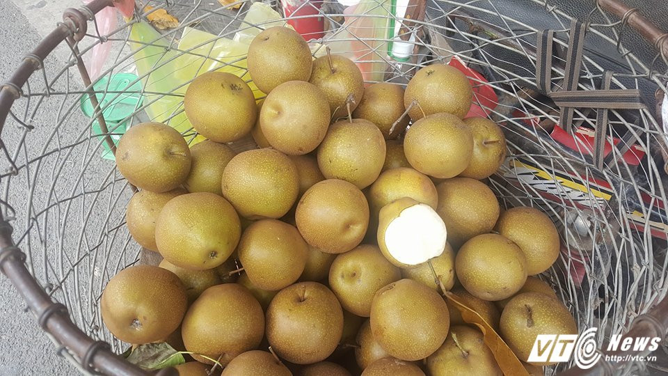 20751490_1484171728295456_1505507108_n