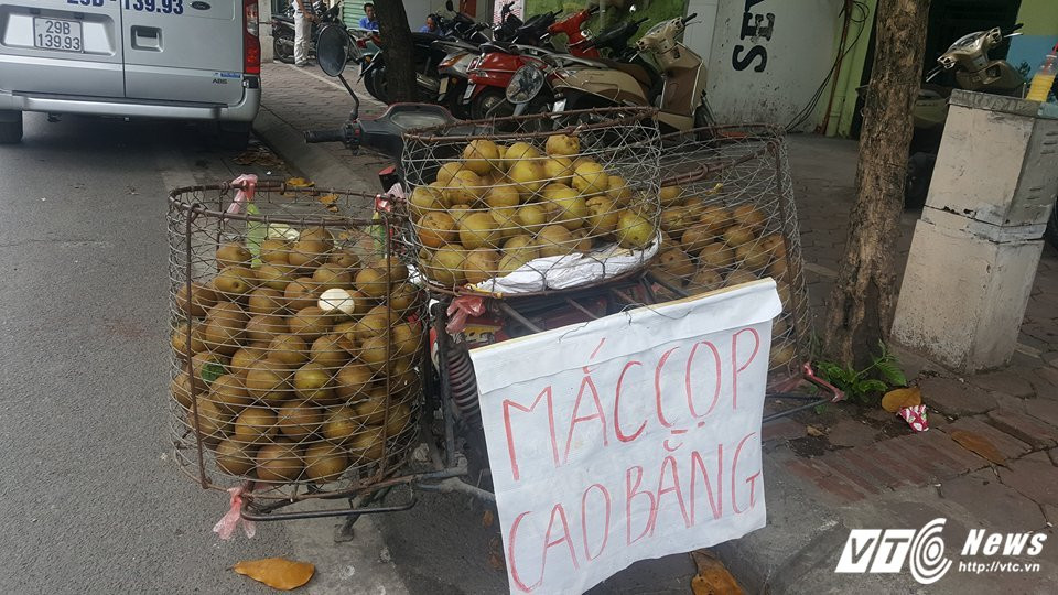 20786395_1484171934962102_1018254097_n