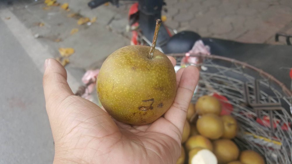 20806812_1484171441628818_534755466_o 3