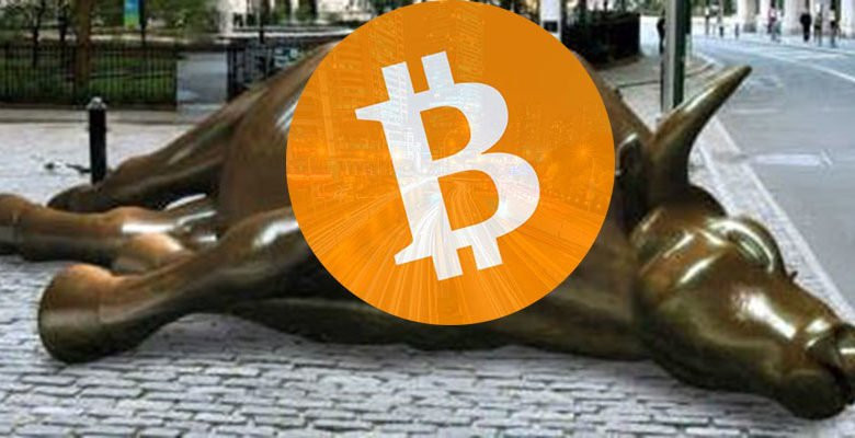 3682514tired.bull_-780x400