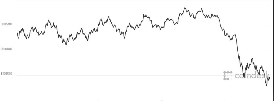 giá bitcoin hôm nay 23/1