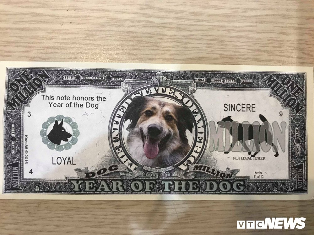 27140627_1704052992988791_482722751_o 6