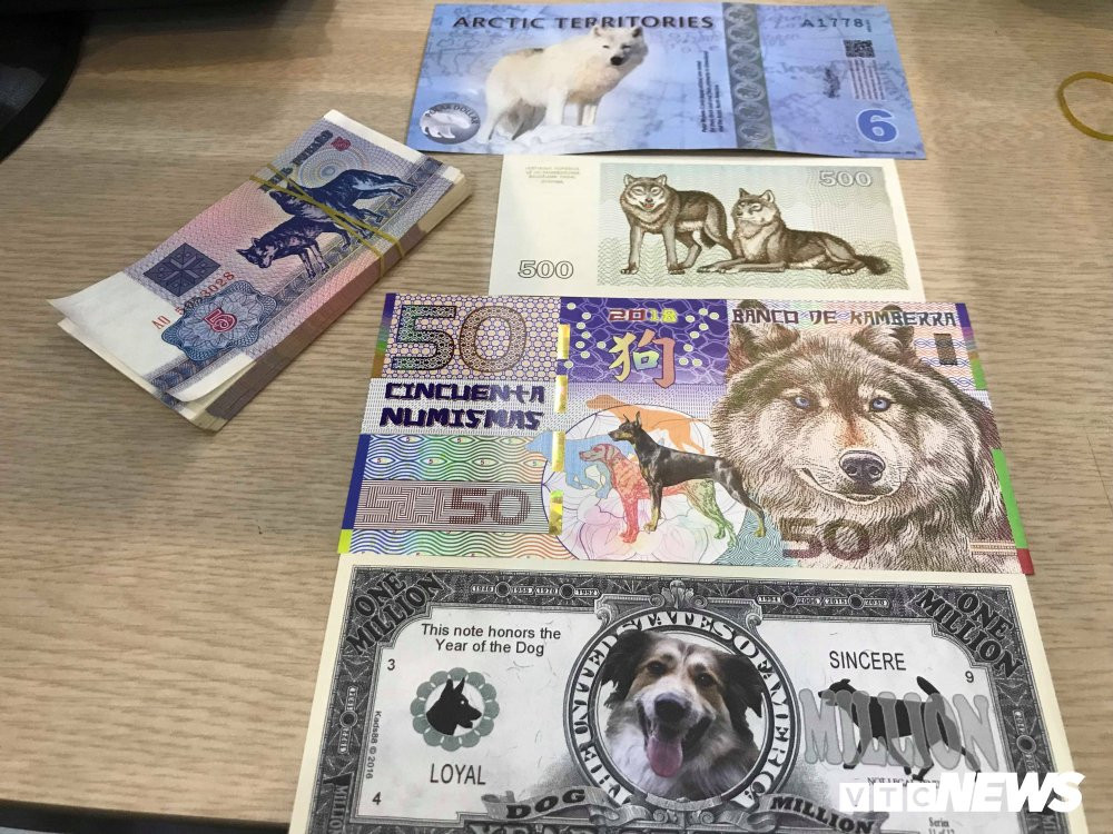 27268102_1704053236322100_312623171_o 8