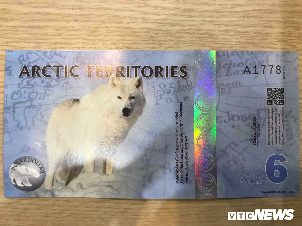 27329331_1704053009655456_1862071851_o 5