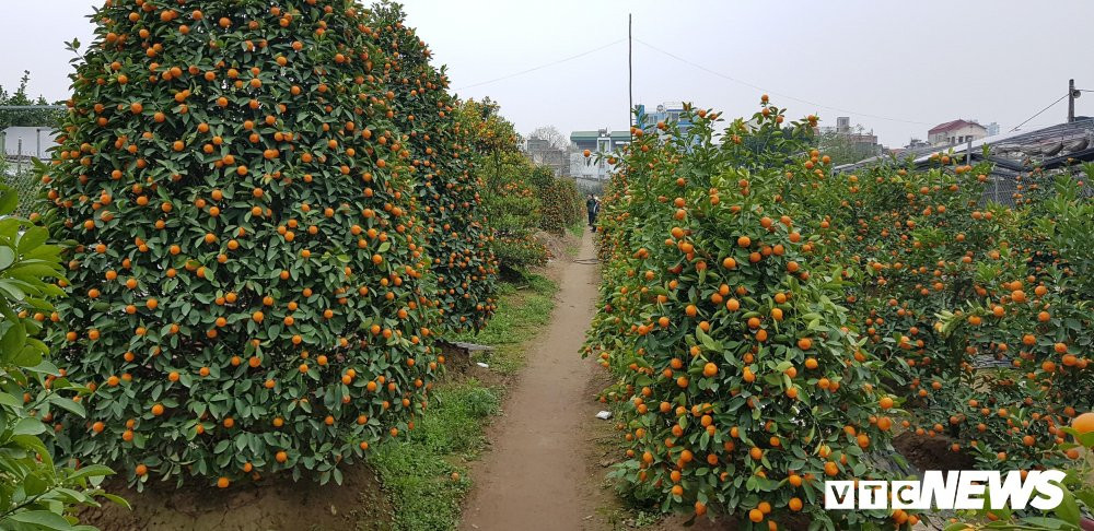 28000123_968563653308488_1062110867_o