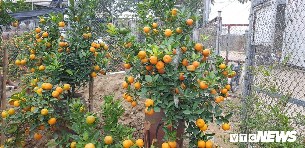 28081437_968563669975153_1983476495_o