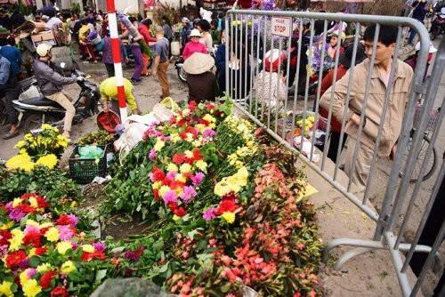 cho-hoa-2500-3211-1518567767