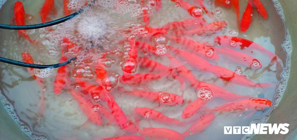 51148170_2123302127762245_7935354470550994944_n 3