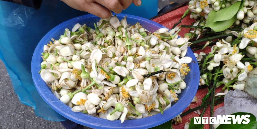 52065885_2242736932660479_6986755353467682816_n 3