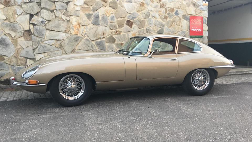 44833103_302609883675024_6527620480487129088_n 23