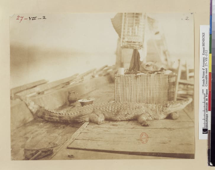 http___cdn.cnn.com_cnnnext_dam_assets_190430164956-louvre-album-of-the-world-2