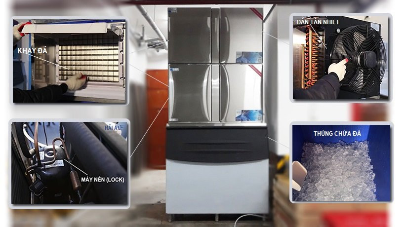 may-lam-da-tinh-khiet-hai-au-2