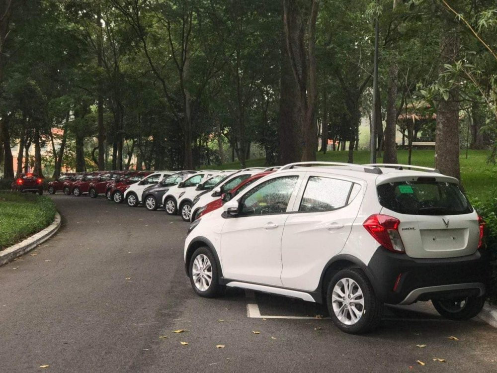 64583690_10157254207744380_7703081548261621760_o