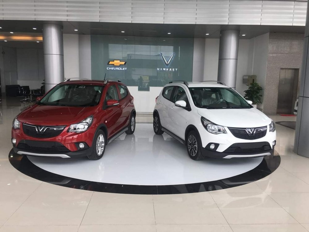 62619184_2228473650522584_7956419403942199296_o