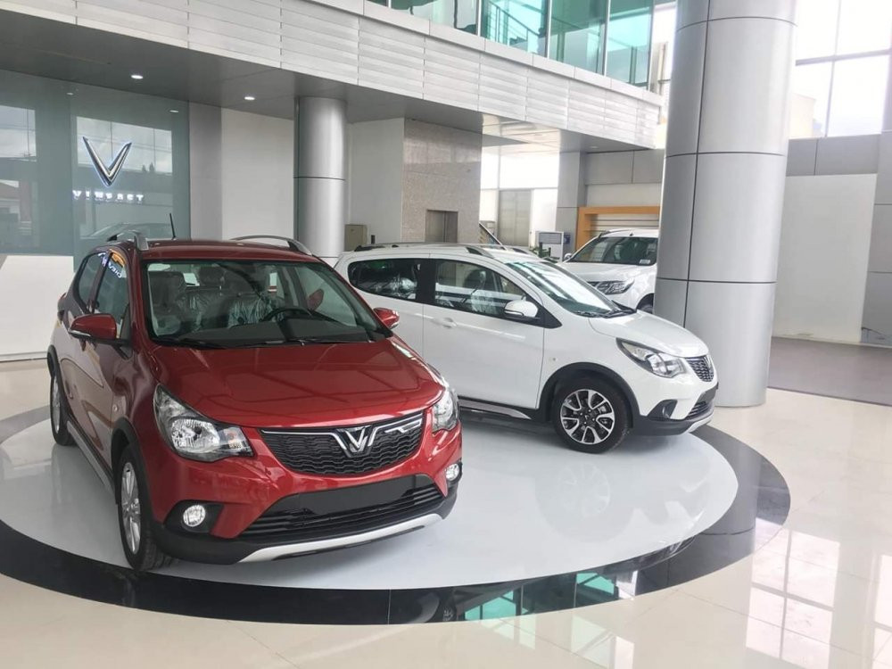 64322340_2228473747189241_3369208458514530304_o