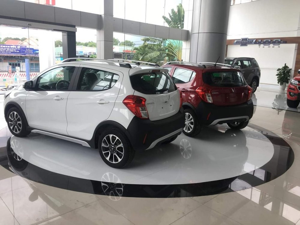 64800615_2228473977189218_3879887839604768768_o 3