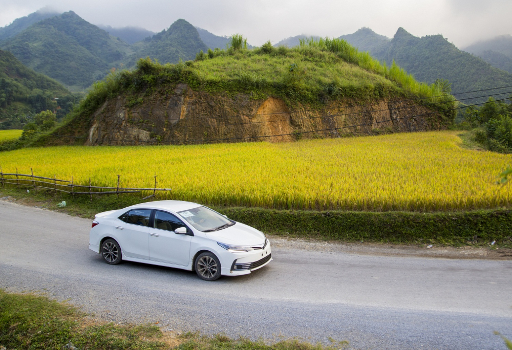 Corolla Altis - 1