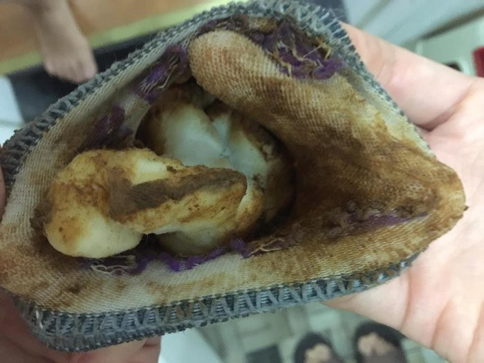 32679809_987487478067942_7016673249543061504_n (1) 3