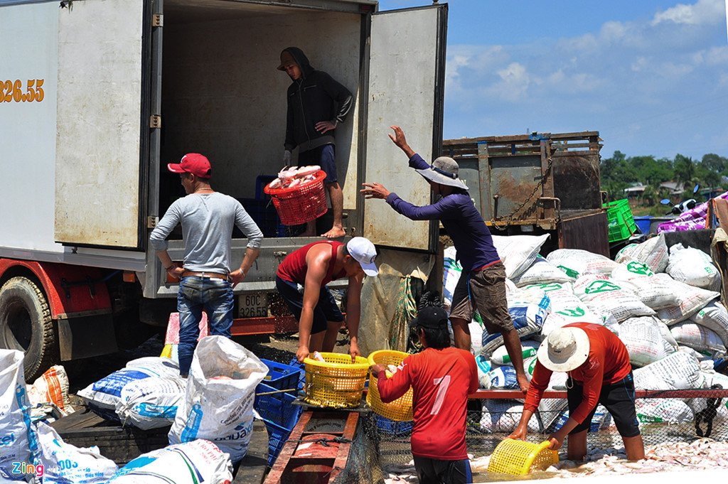 Ngu dan rot nuoc mat vot hang tram tan ca chet de u phan hinh anh 9