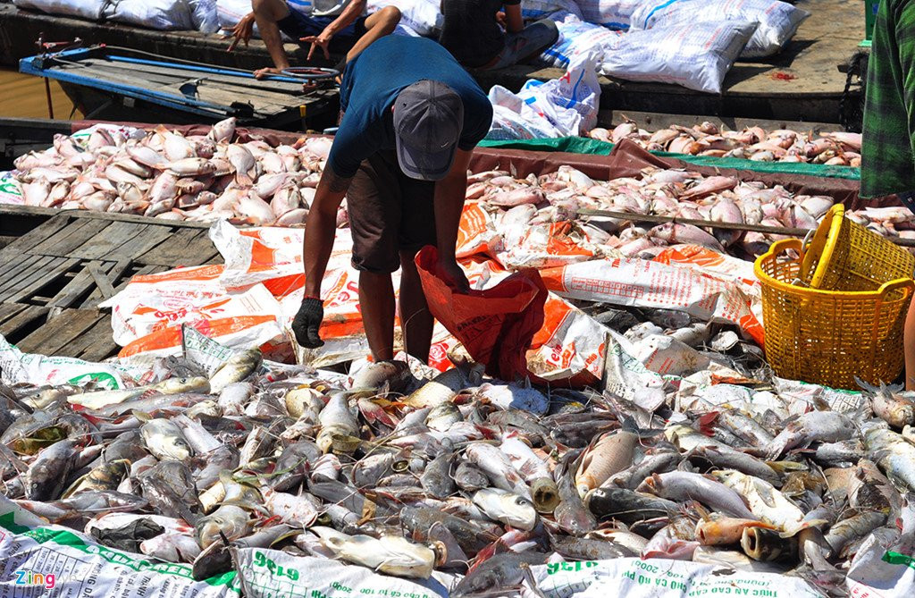 Ngu dan rot nuoc mat vot hang tram tan ca chet de u phan hinh anh 5