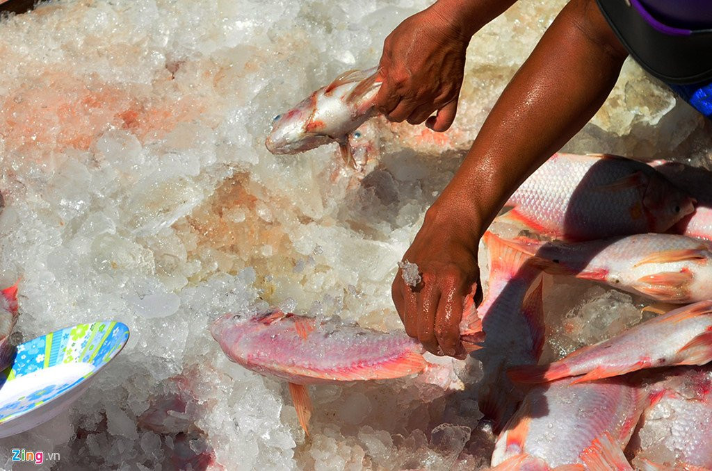 Ngu dan rot nuoc mat vot hang tram tan ca chet de u phan hinh anh 6