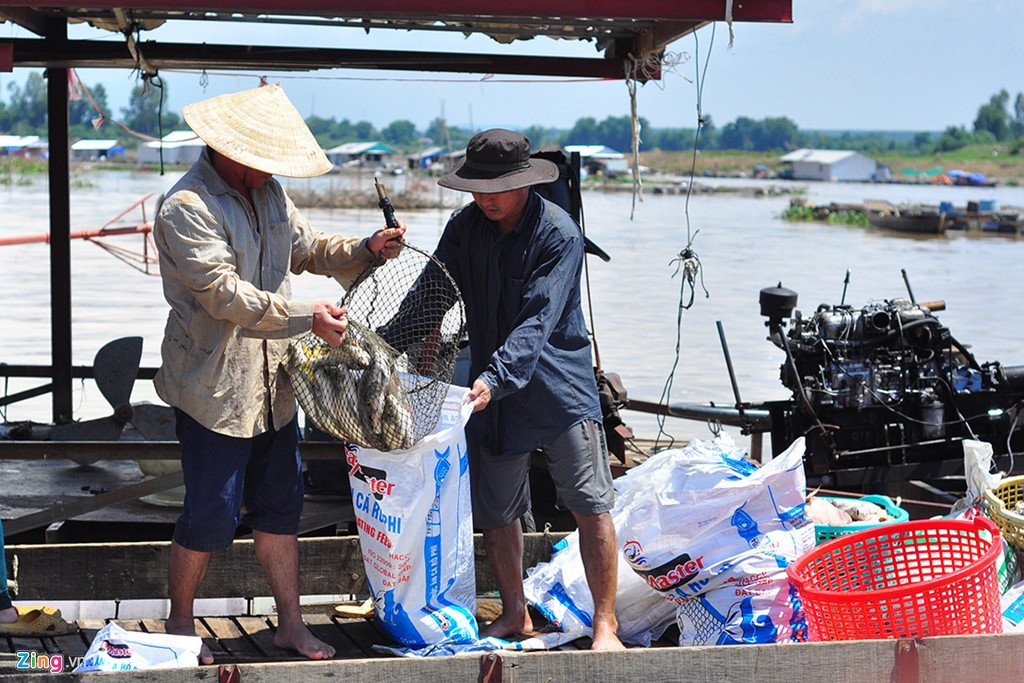 Ngu dan rot nuoc mat vot hang tram tan ca chet de u phan hinh anh 7