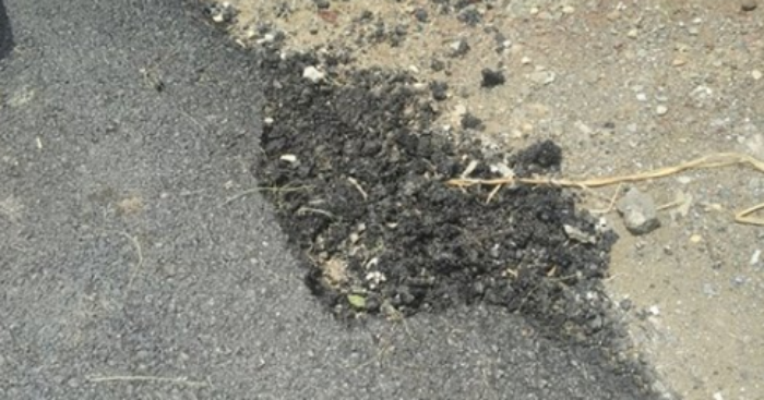 Screen Shot 2018-05-23 at 8.19.15 AM