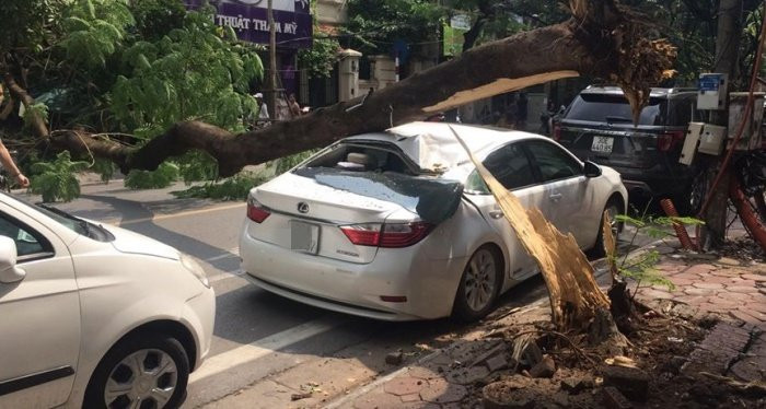 34302117_1394379577375573_3473642465217478656_n-1545009 9