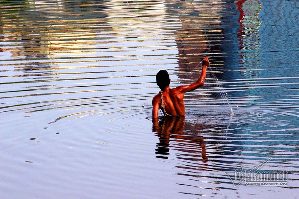 cá chết,Hạ Long,Quảng Ninh