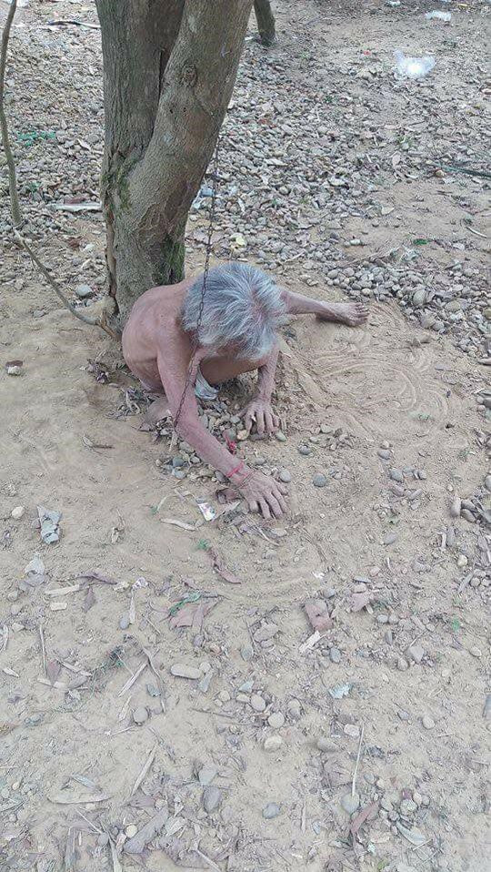 Tường trình của người chồng xích vợ ở gốc cây - Ảnh 1.