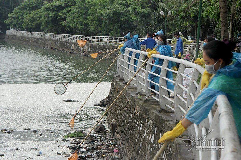 cá chết,cã chết hồ Tây,Hà Nội,hồ Tây