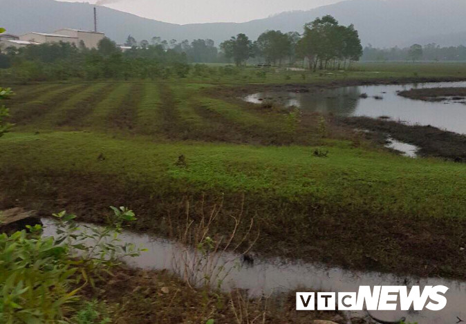 Screen Shot 2018-07-13 at 7.11.43 PM 3