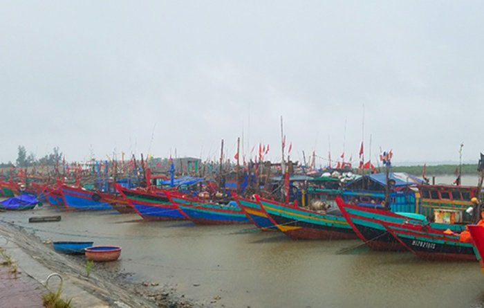 tranh-bao-3 3