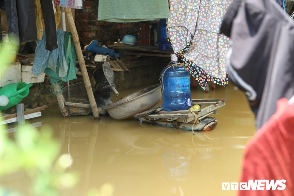 img_6079-5-1303405 17