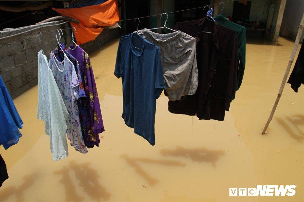 img_6117-7-1303416 16