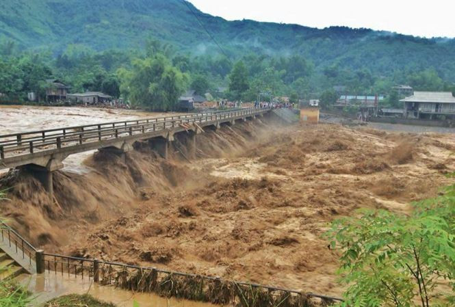 124717_22366698_1962281910677448_4657900254271592800_n_ltxl