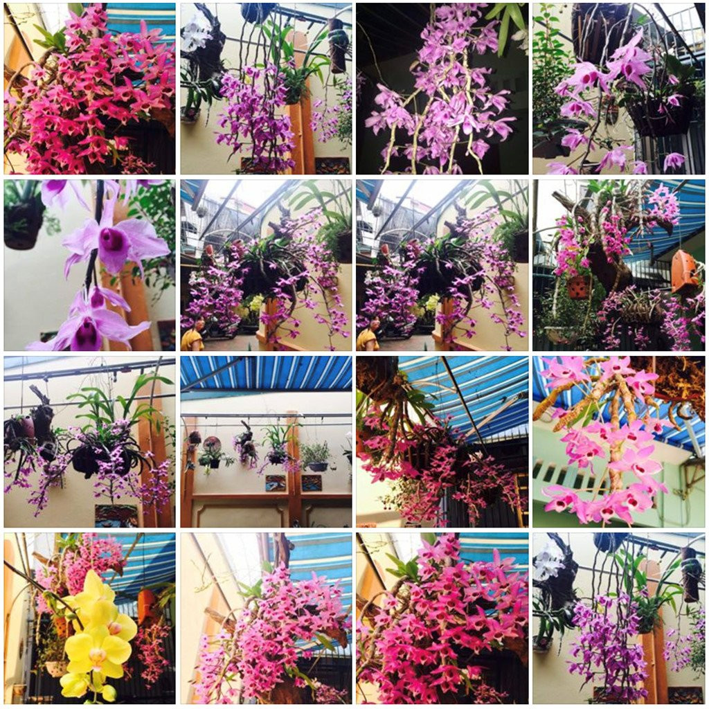 Than nhan phi cong Su-22: 'Khong ngo nguoi hy sinh la anh' hinh anh 4