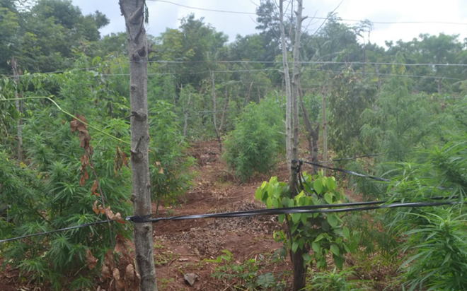 thumb_660_e31aabd2-de07-4323-ab8a-fd047a096c76