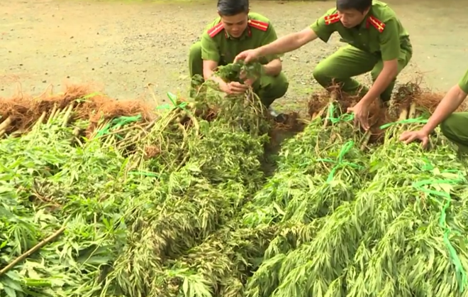 thumb_660_ed2122e2-bc77-43bf-85a0-463abdde67e2