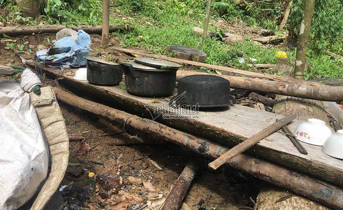 Nghệ An,lâm tặc,phá rừng